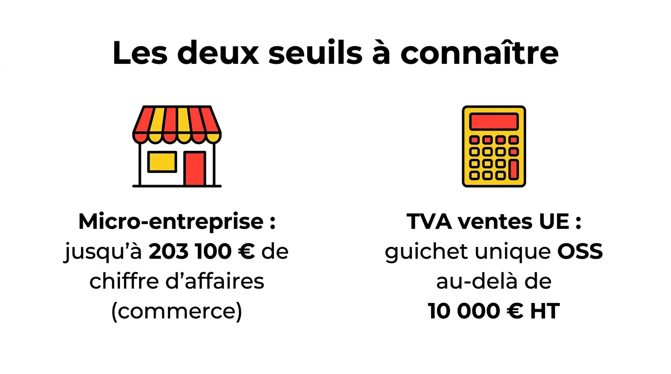Les deux seuils à connaître : 203 100 euros de chiffre d'affaires en micro-entreprise et 10 000 euros HT pour la TVA des ventes UE