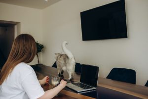 Dépannage des problèmes courants des téléviseurs qui s'éteignent seuls